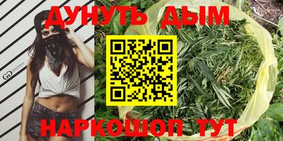 мдпв Заводоуковск