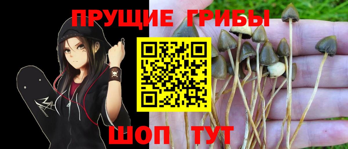 Галлюциногенные грибы MAGIC MUSHROOMS  Вход с VPN  Псилоцибиновые грибы ЛСД  Семилуки 