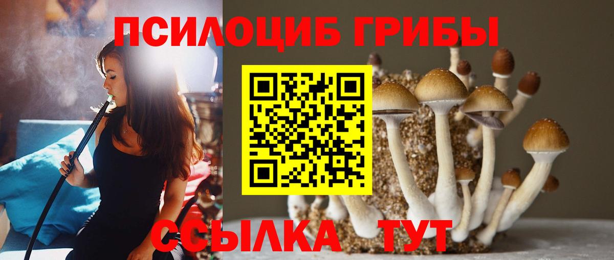 Псилоцибиновые грибы Psilocybe Семилуки