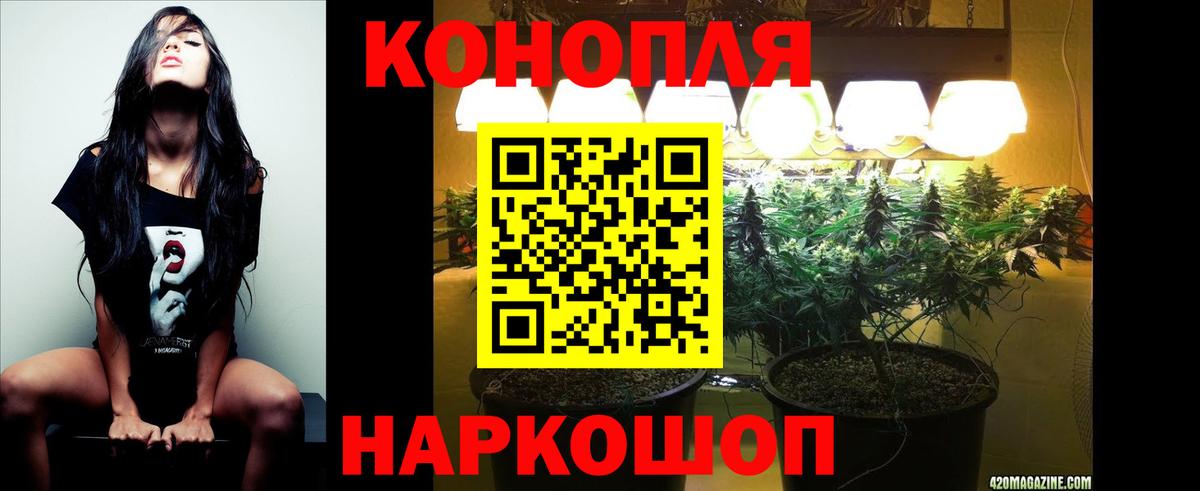Каннабис планчик Семилуки